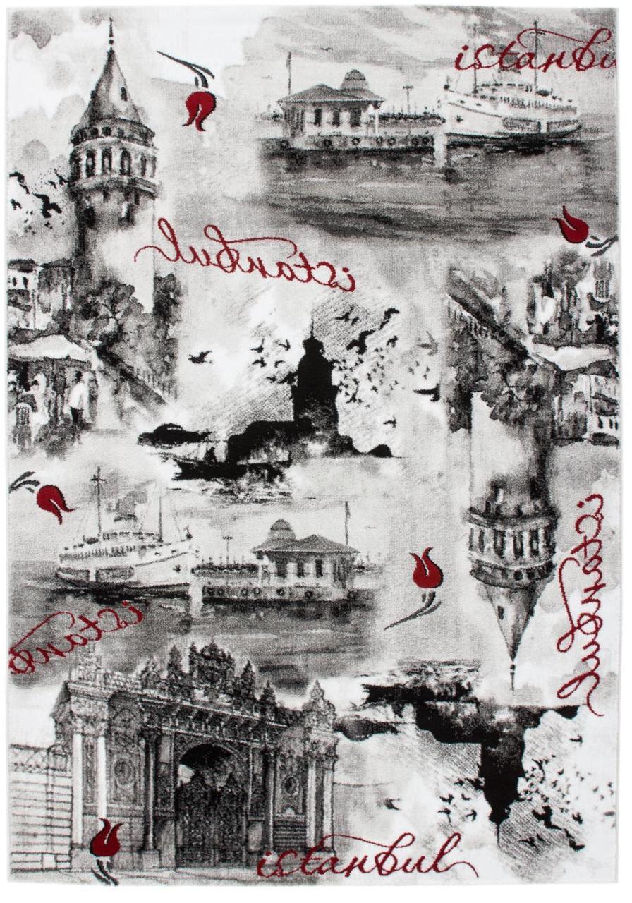 FurnitureMattressDirect- AREA RUG - 212 - 4 x 56-1