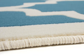 AREA RUG - 104 - 4' X 5'6