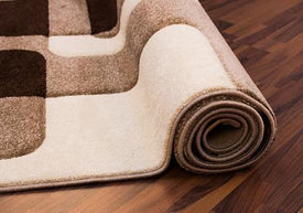 AREA RUG - 106 - 5'3