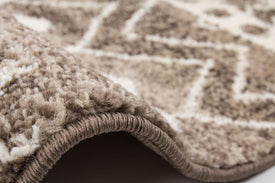 AREA RUG - 151 - 5'3