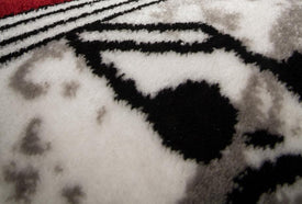 AREA RUG - 210 - 4' X 5'6