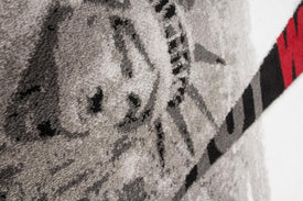 AREA RUG - 211 - 4' X 5'6