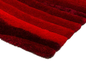 AREA RUG - 250 - 5'3