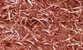 AREA RUG - 274 - 4' X 5'9